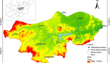 Effects of future climate and land use changes on runoff in tropical regions of China