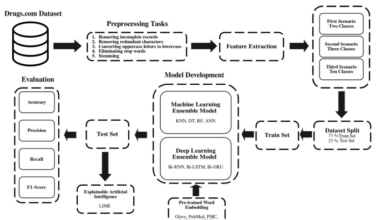 Predicting patients’ sentiments about medications using artificial intelligence techniques