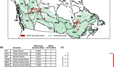 Human driven climate change increased the likelihood of the 2023 record area burned in Canada