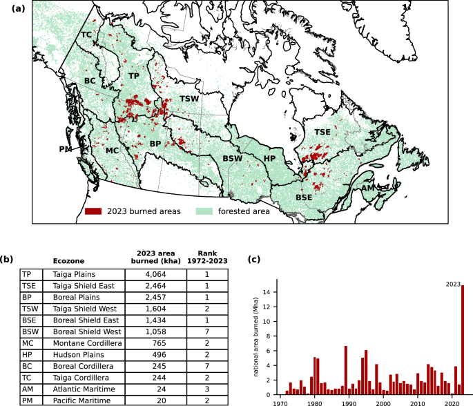 Human driven climate change increased the likelihood of the 2023 record area burned in Canada