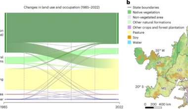 Intensification of climate change impacts on agriculture in the Cerrado due to deforestation