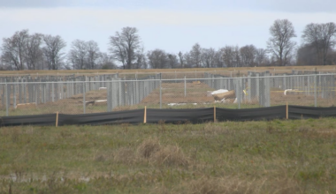 City to receive more energy with new solar energy farm