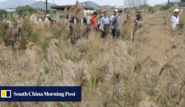 Hong Kong’s Long Valley Nature Park opens to public after habitat restoration