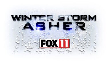 FOX logo
