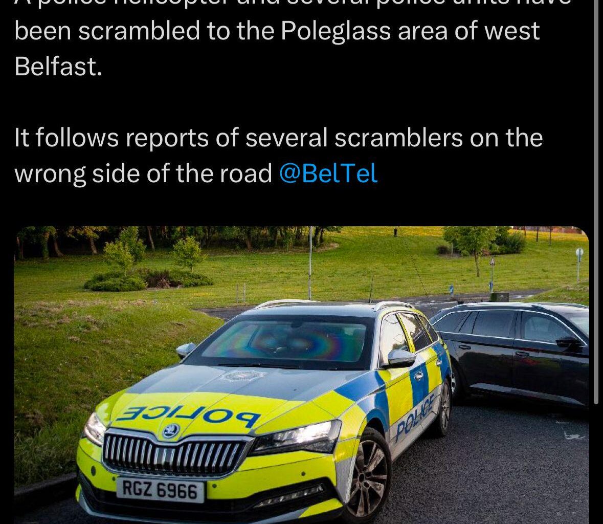 Typical wee rats.