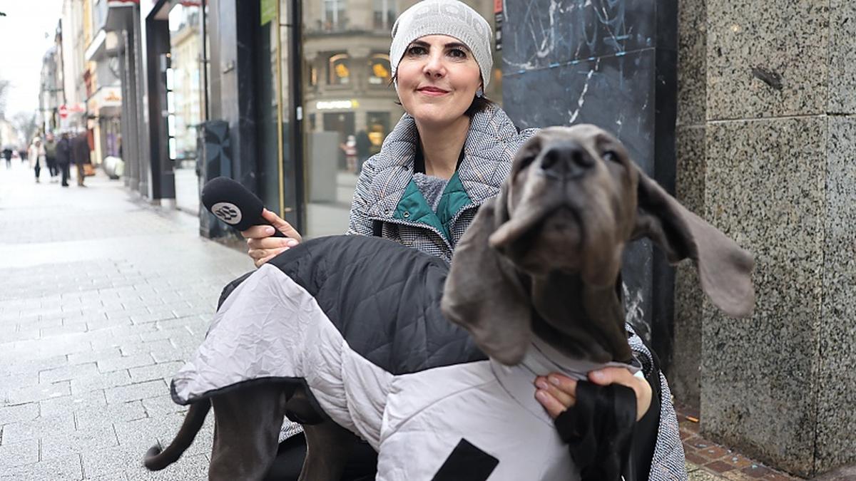 How much does Luxembourg spend on Christmas?