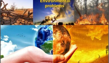 Public participation essential in environmental protection: DOE chief