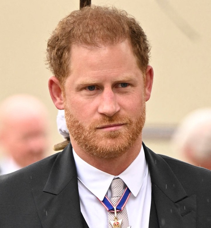 Prince Harry Confesses What He & Dad King Charles Have in Common: ‘Bloody Snowmen’