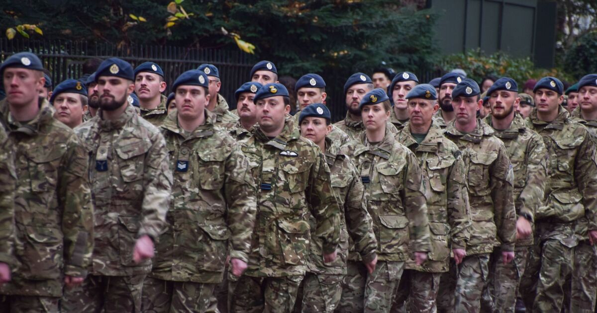 Defence expert blasts Army as 'national disgrace' and issues NATO warning | UK | News