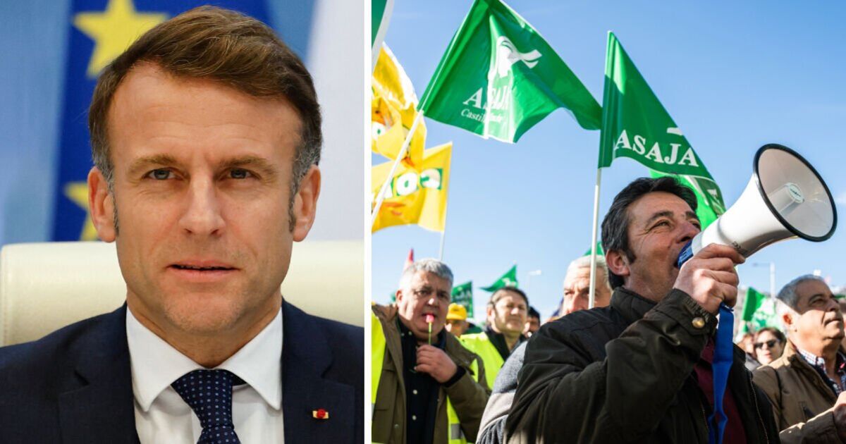EU civil war as Macron hopes Italy fights deal ‘pricing out farmers' | World | News
