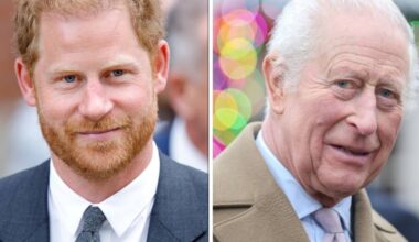 Prince Harry's secret message to King Charles in Christmas photo revealed | Royal | News