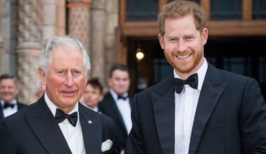 Prince Harry urged to 'pull himself together and extend olive branch' | Royal | News