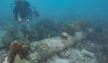 Archaeologist logs 8,620 shipwrecks and 250 lost treasures in Portoguese waters | World | News