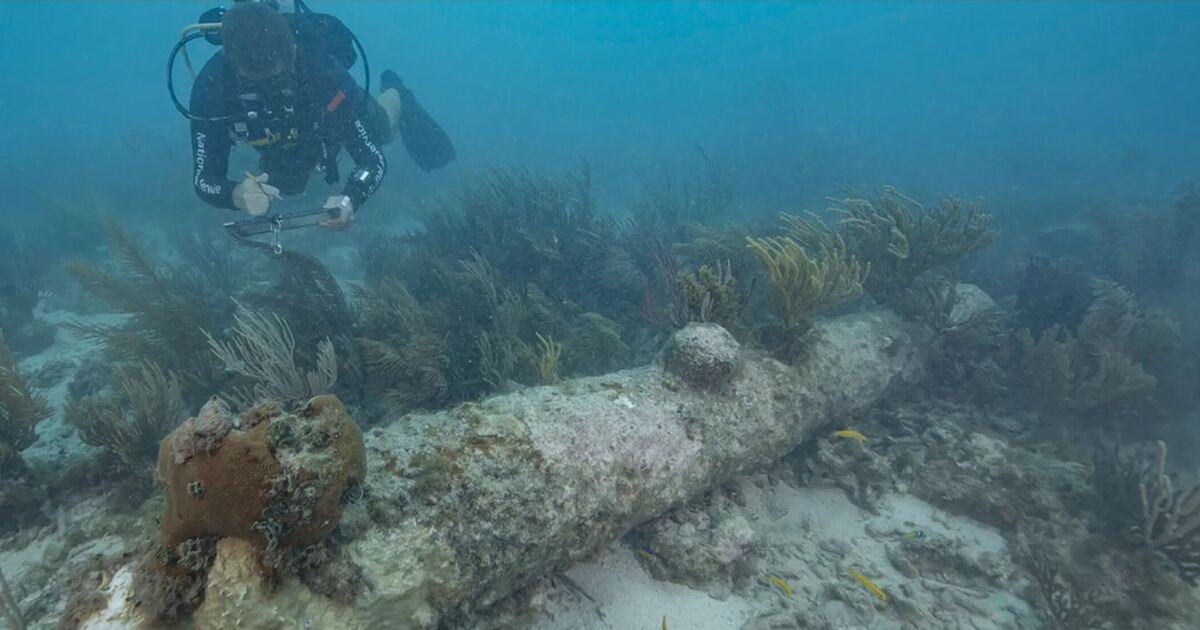 Archaeologist logs 8,620 shipwrecks and 250 lost treasures in Portoguese waters | World | News