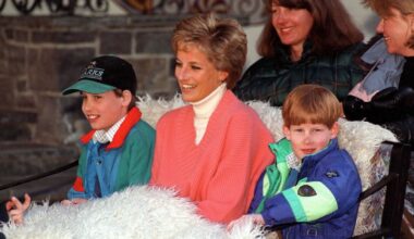 Diana's rule that Prince William and Harry follow with their children | Royal | News