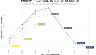 [OC] Cohort Analysis of Fertility in Canada Mothers born in 1974-2008