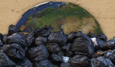 Are Climate Summits Giving Legitimacy to Polluters?