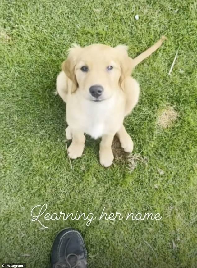 The Princess of Wales' younger brother, 35, took to Instagram yesterday to introduce the newest member of his pack, who he has called Isla (pictured)