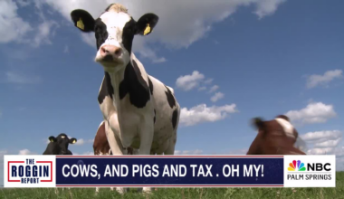 Denmark Implements Tax on Animal Emissions to Curb Greenhouse Gases