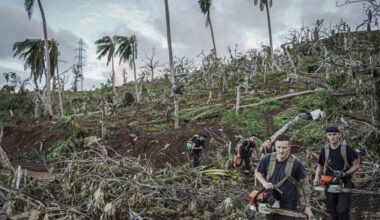 Ravaged forest threatens Mayotte's biodiversity, economy and food security