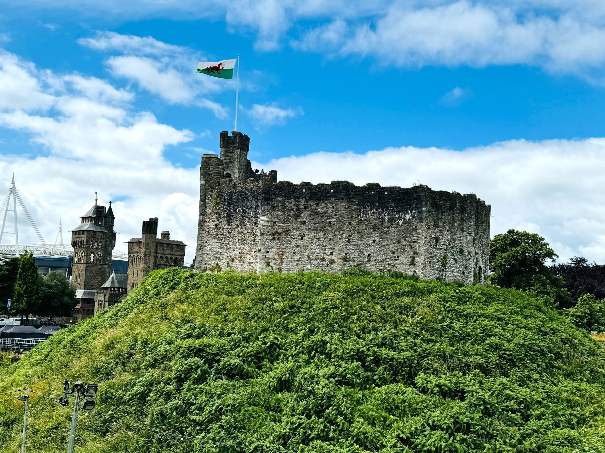A castle with a flag on a greenery-covered hill.