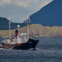 Iceland authorises whale hunting until 2029 | National
