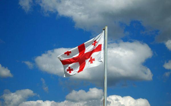 Response to Lithuania and Estonia's anti-Georgian decision possible, but deemed unreasonable
