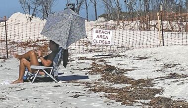 Berm Project Looking at Completion | Environment