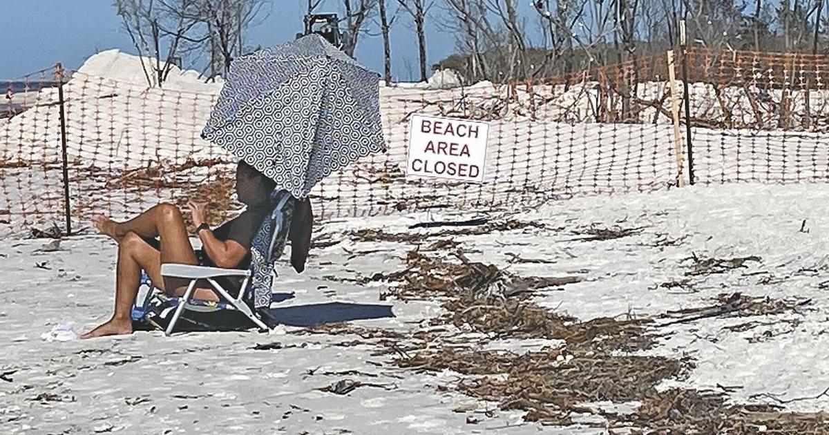 Berm Project Looking at Completion | Environment