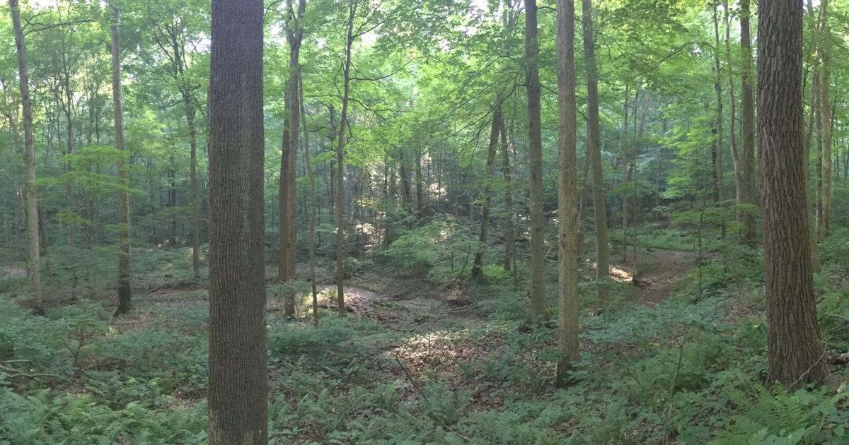 Time-traveling in Indiana | Environment