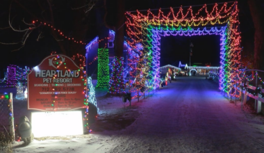 One spencer business lights up after dark