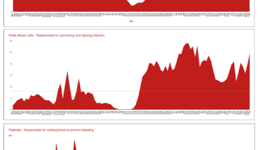 [OC] 14 months of blood counts while going through cancer treatment for Acute Myleoid Leukemia. Five months of chemotherapy followed by an allogeneic Bone Marrow Stem Cell Transplant.