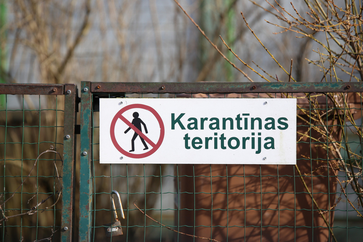 Latvijā dubultojies atklāto ĀCM gadījumu skaits