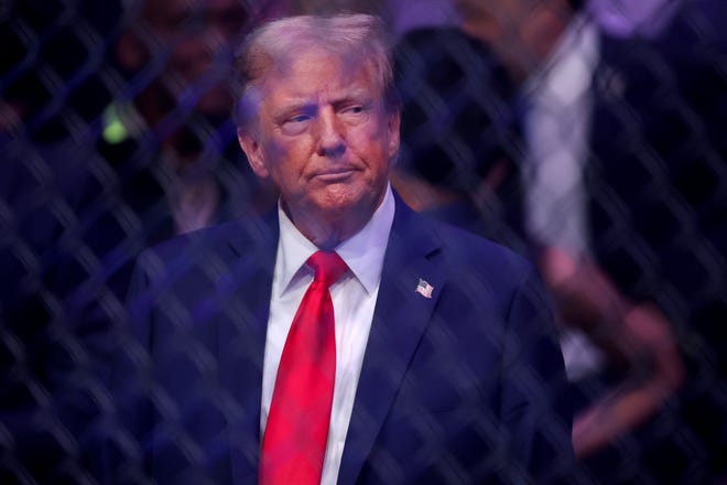 Donald Trump attends UFC 309 at Madison Square Garden on Nov. 16, 2024.