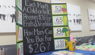 Chatham County Health Department hosts event to support new mothers