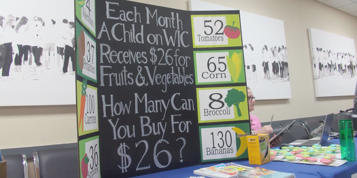 Chatham County Health Department hosts event to support new mothers