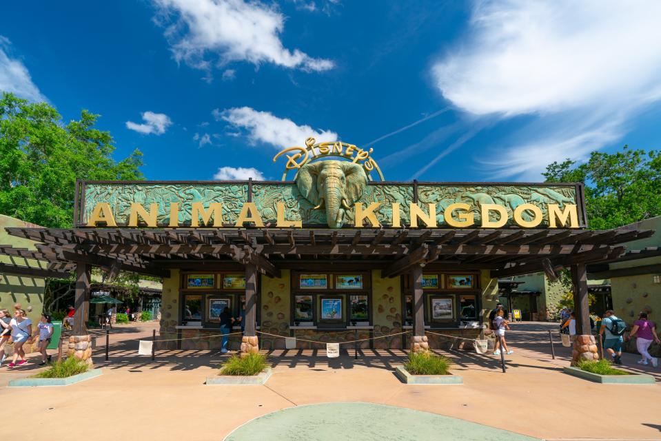 Disney's Animal Kingdom theme park.