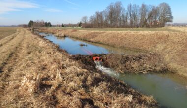 Fostering Beaver-Human Coexistence in Slovenia and Croatia