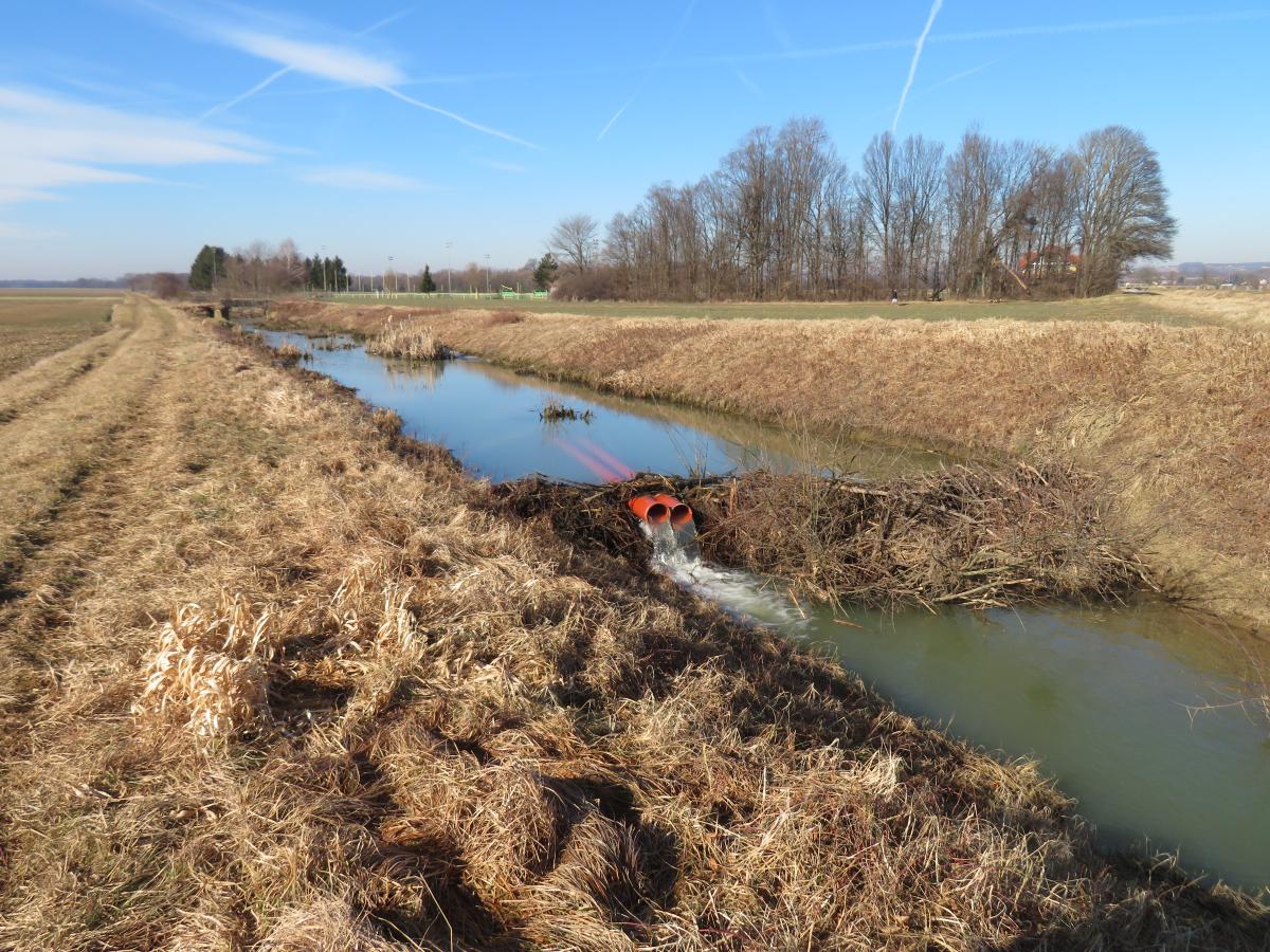 Fostering Beaver-Human Coexistence in Slovenia and Croatia