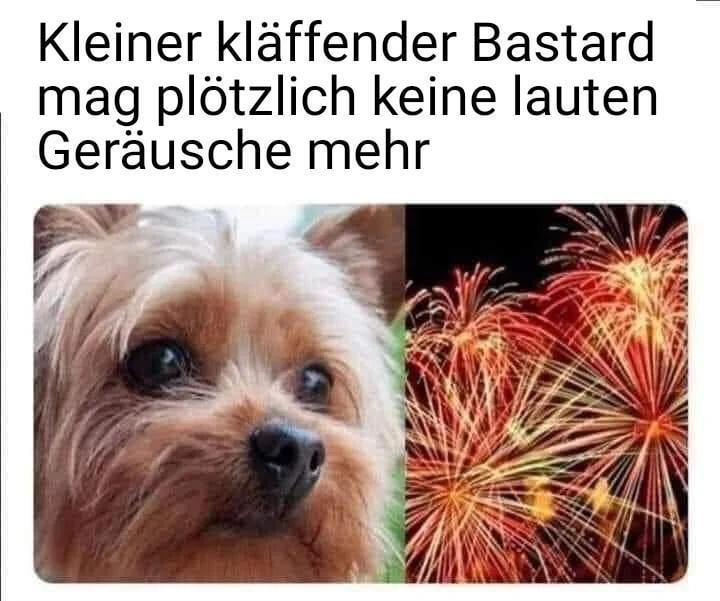 Glorifizierte Ratte 🐀