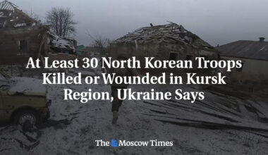 At Least 30 North Korean Troops Killed or Wounded in Kursk Region, Ukraine Says