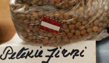 Latvians still love their gray peas during yuletide / Article