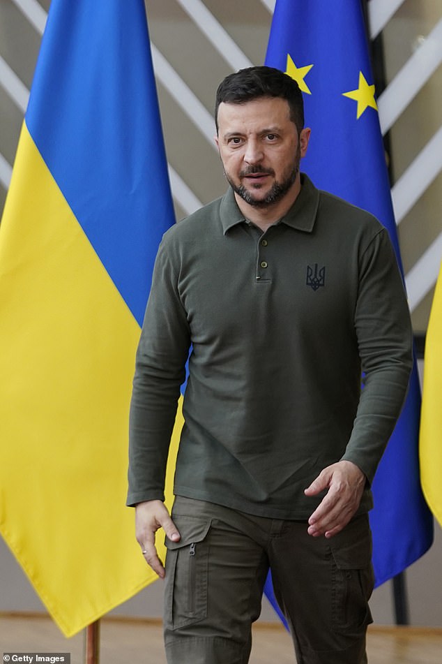 Zelensky's offer to sacrifice land to Russia is a 'major concession', a top diplomat has said