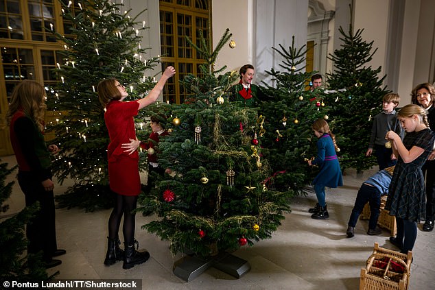 Eldest granddaughter Estelle - who is the daughter of Crown Princess Victoria and Prince Daniel - was holiday-ready in a bright red shirt with a matching skirt. She can be seen hearing hanging an ornament on one of the four Christmas trees that were delivered to the palace
