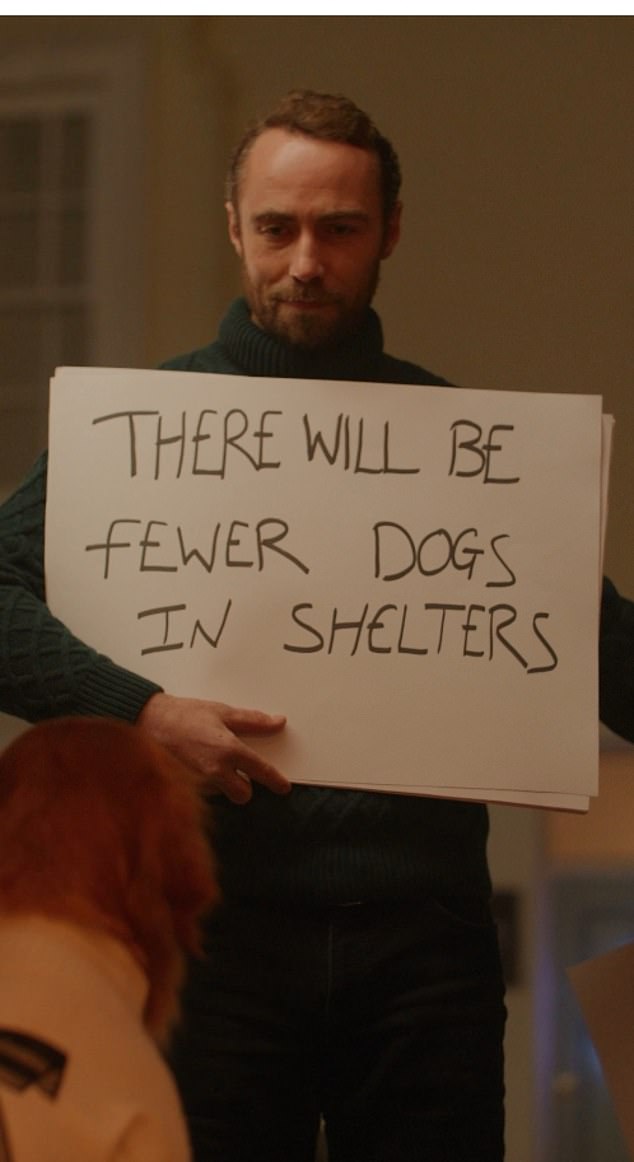 James' messages highlight the reality that hundreds of dogs are gifted to friends and family over Christmas - only for them to be abandoned in the New Year