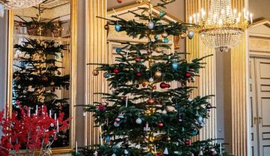 Royal fans are stunned after discovering a hidden detail in Queen Mary of Denmark 's official Christmas decor