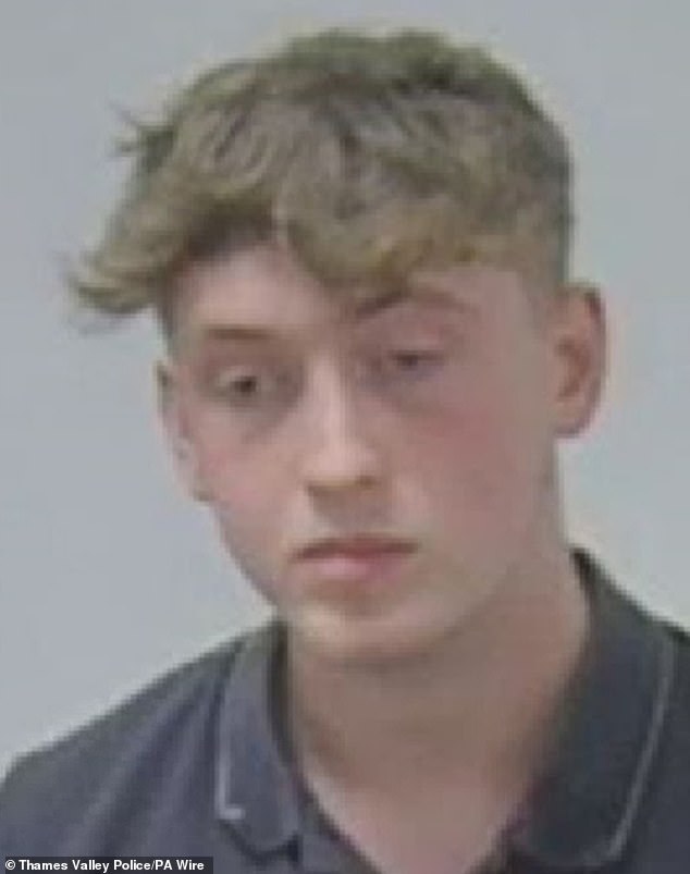 Thomas Johnson, 19, is sentenced to nine years and four months after driving at 100mph while high on laughing gas, and crashing his BMW 3 series into a tree, killing his three friends