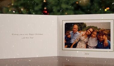 The one image the Princess of Wales released for the Wales's Christmas card, a snap taken from the poignant video she made earlier this year with her family in Norfolk