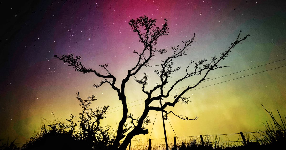 Northern Lights could be visible in Northern Ireland to bring in the new year – The Irish News