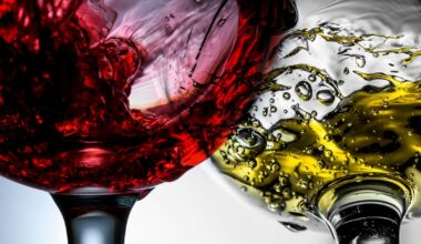 Ireland’s favourite wine and the most popular wine origins – The Irish Times